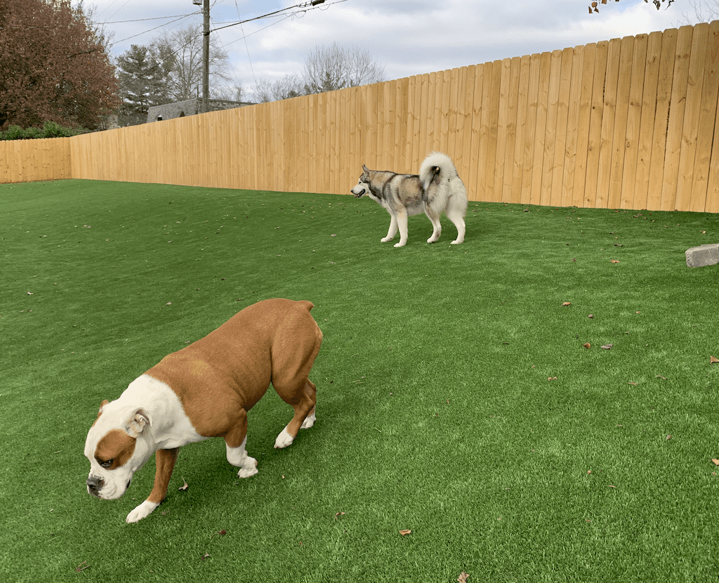 Artificial Turf Nashville: Friend or Foe? Learn the Truth About Fake Grasshs.