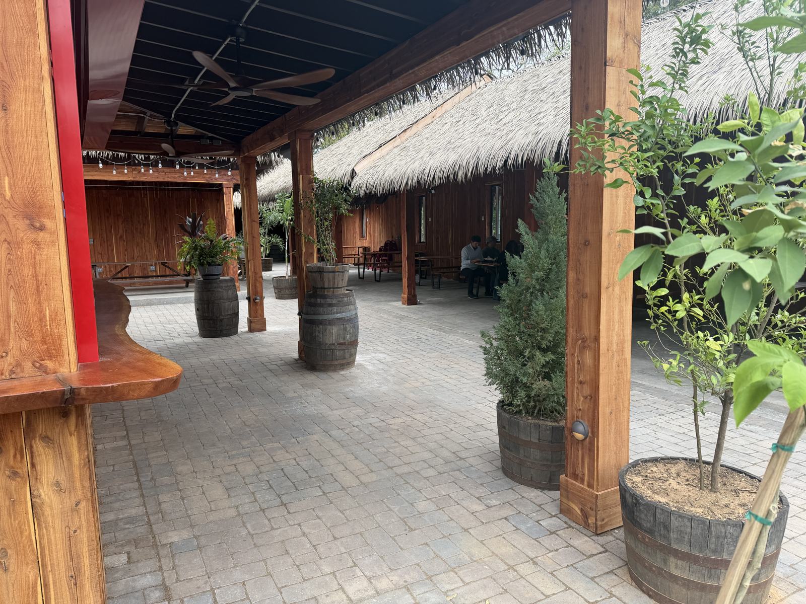 Live-edge bar rail beside the paver walkway